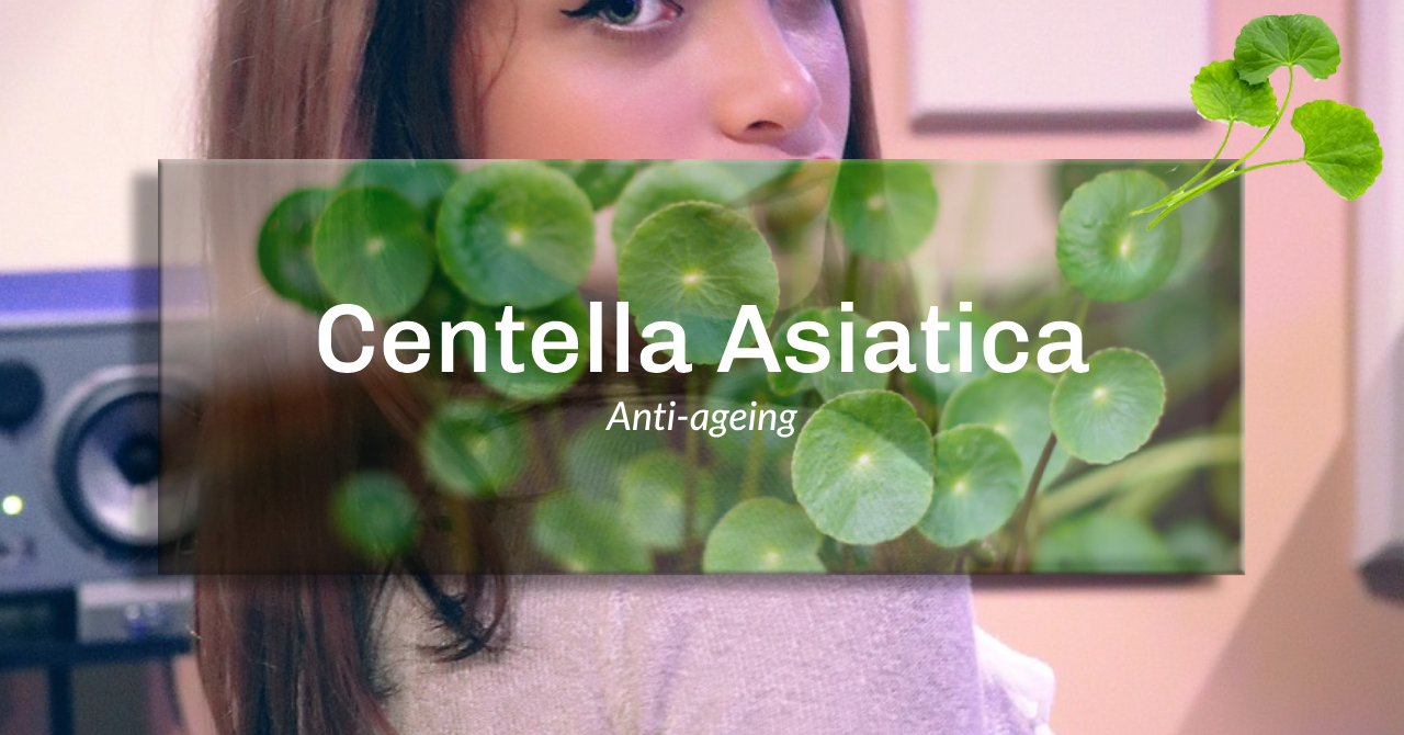 병풀 추출물(센텔라 아시아티카, 고투 콜라, Centella asiatica)의 노화방지등 그 효능 10가지 - 노화극복과 건강